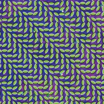 Animal Collective Merriweather Post Pavilion - 180g Vinyl LP Set (2009 UK Edition)