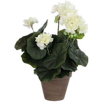 MICA Decorations 975165 Flores, Geranium Grandes, Beige