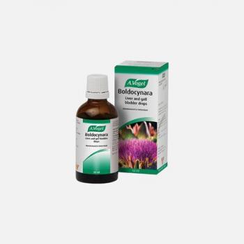 Melena de León 70 Cápsulas Alfa Herbal
