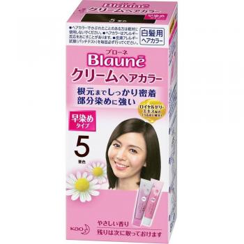 Brown Kao Cream Hair Color 5 Maroon 40g x 2