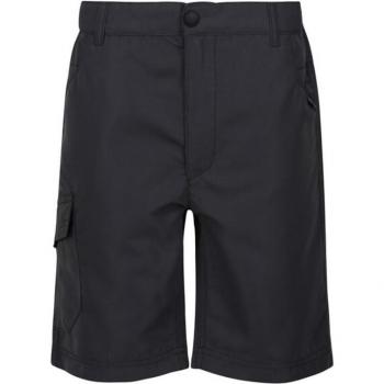 Regatta Sorcers II Kids' Mountain Shorts - Seal Grey, Regular Fit