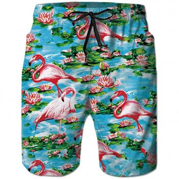 Goodstoworld Hombre Bañador Shorts 3D Playa Natacion Pantalon Corto Poliéster Secado Rápido Ligero Bermuda Moda Shorts