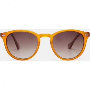 Gafas de Sol Unisex Scalpers Shibuya 03 en Acetato con Forma Redonda Color Marrón