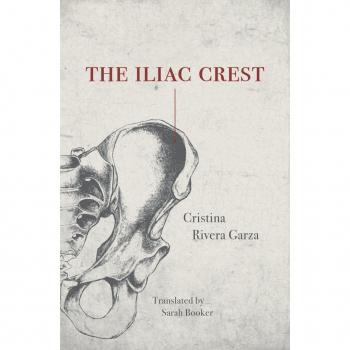 Iliac Crest, The