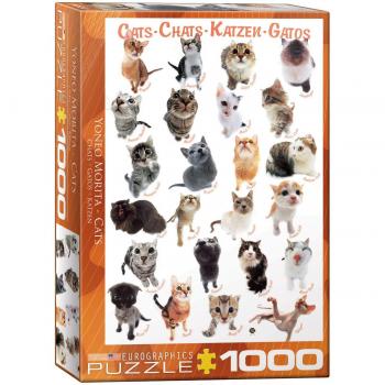 EuroGraphics Cats Puzzle (1000 Pieces)