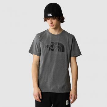 Camiseta TNF Raglan Easy Hombre Gris
