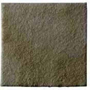 Coloplast Biatain Alginate Ag - 10 unidades