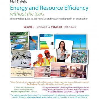 Guía Completa de Eficiencia Energética y de Recursos: Añadiendo Valor y Sostenibilidad en la Organización - Tapa Dura