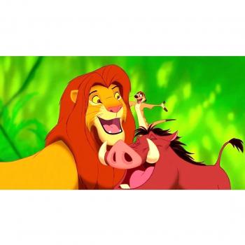The Lion King III Hakuna Matata Customized 26x14 inch Silk Print Poster Seda Cartel/WallPaper Great Gift