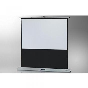 Celexon 1090135 - Pantalla Portátil Profesional, 160 x 90 cm, 16:9, 18000 g, Gris