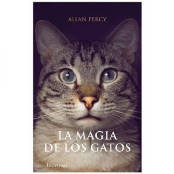 La magia de los gatos
