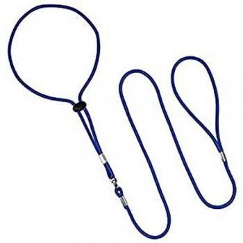 Arppe 2281010007 Collar Correa Nylon Exposición, Azul