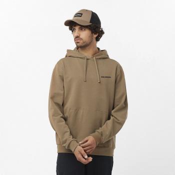 Sudadera de hombre Graphic Performance Salomon con capucha, color marrón, talla S