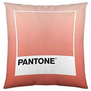 Pantone Funda de cojín Ombre B Reversible