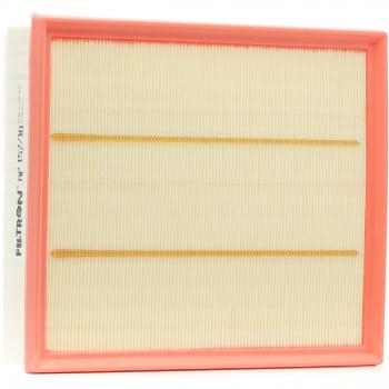 Filtro de aire FILTRON AP157/10 - Filtro de aire para automóvil, compatible con múltiples marcas y modelos, diseñado para mejorar la calidad del aire en el interior del vehículo, fabricado con materiales de alta eficiencia que atrapan partículas y