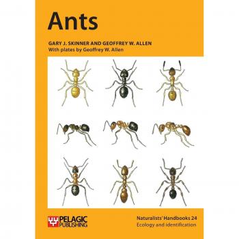 Manual de Naturaleza sobre Hormigas (Guía del Naturalista, Banda 24)