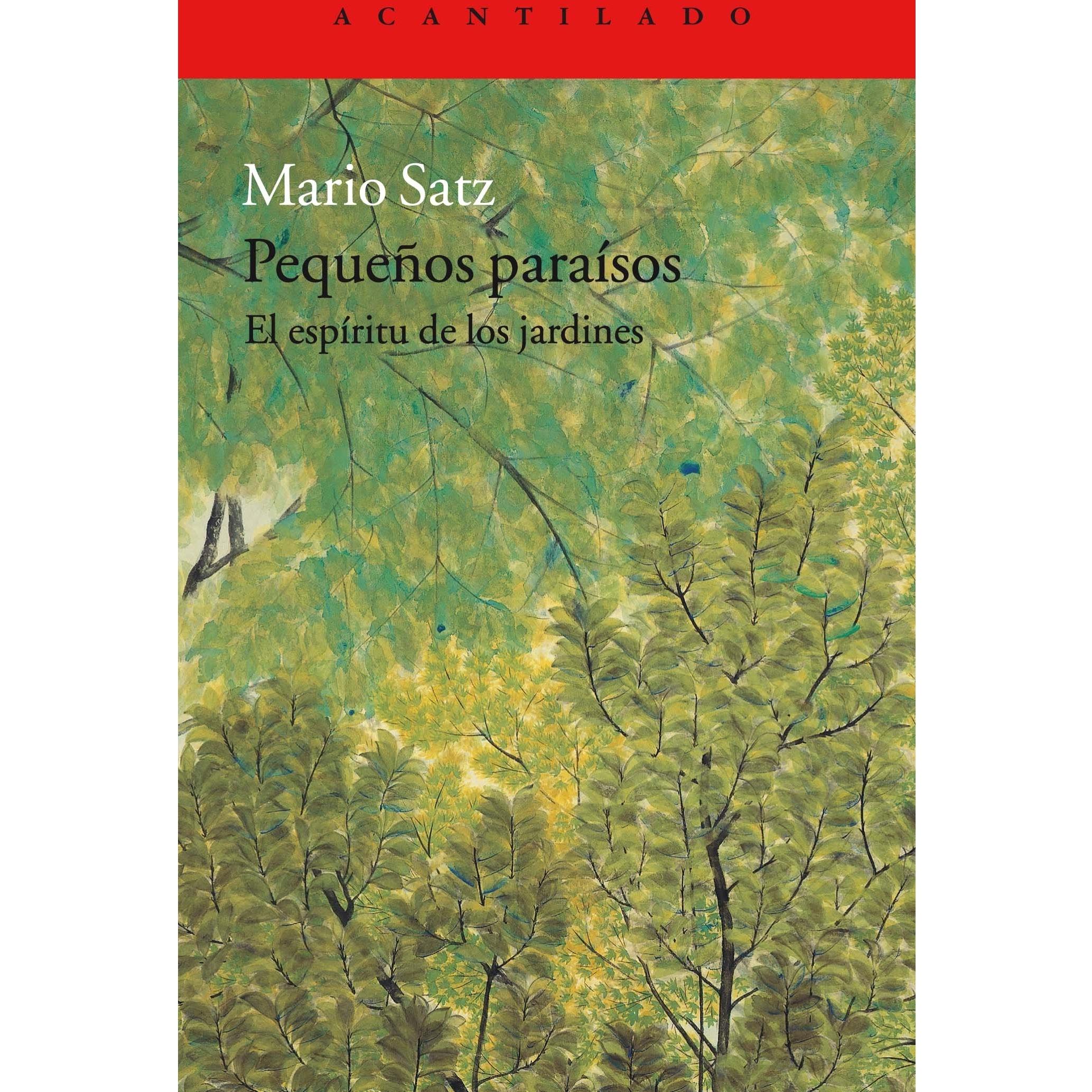 Imagen Principal
