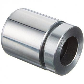 Émbolo para pinza de freno AUTOFREN SEINSA D025335, compatible con sistemas de frenos, fabricado en materiales de alta calidad, diseñado para un rendimiento óptimo y duradero