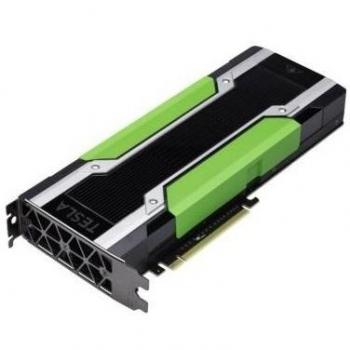 PNY Tesla M60 Module Long