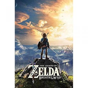 Pyramid America Póster de The Legend of Zelda Breath of The Wild Hyrule para videojuegos, decoración de pared, 60 x 90 cm