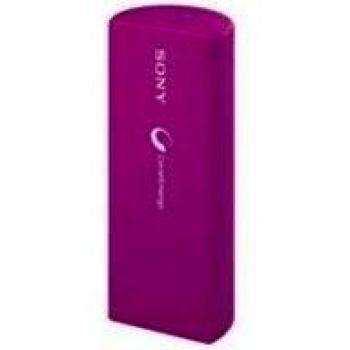 Starblitz 170205 - Cargador para Casio/Olympus/Panasonic
