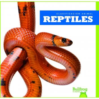Reptiles / Reptiles