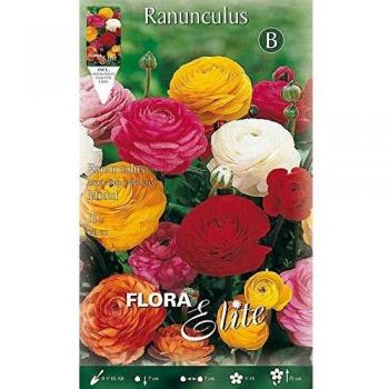 BULBI AUTUNNALI RANUNCULUS RANUNCULI MIXED Paquete de 10 bulbos