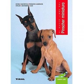 Pinscher miniatura