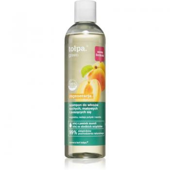 Tołpa Green Regeneration Shampoo for Dry and Dull Hair 300ml
