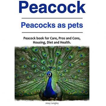 Peacock. Peacocks as pets. Peacock book for Care, Pros and Cons, Housing, Diet and Health.