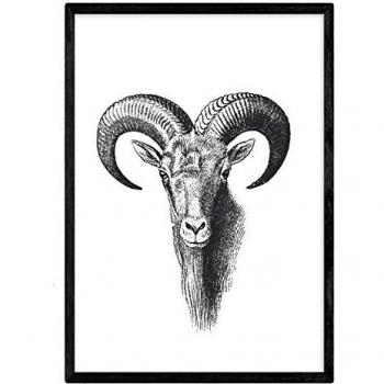 Lámina A3 de Cabra Montesa en Blanco y Negro - Poster de Animales
