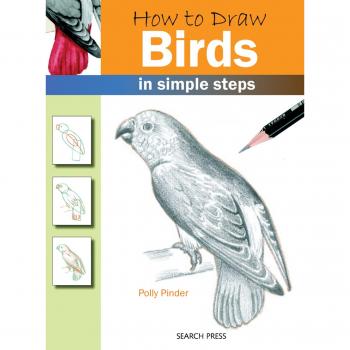 How to Draw: Birds: In Simple Steps