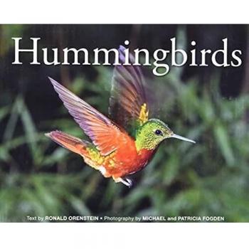 Hummingbirds