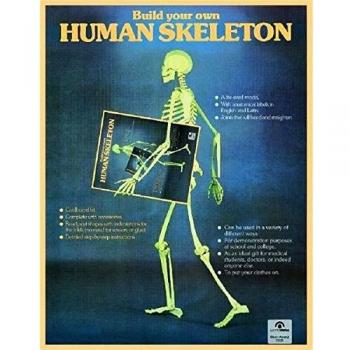 Skeleton