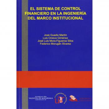 El sistema de control financiero en la ingeniería del marco institucional
