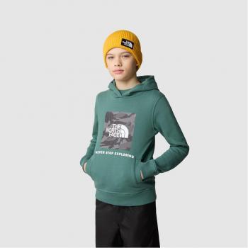 The North Face - Sudadera de niños BOX montaña manga larga verde (M)