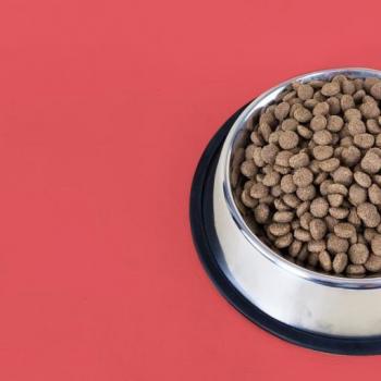 Nutriplus Pienso para Perro Adulto de Cordero