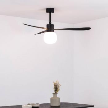 Ventilador de techo con luz AMELIA BALL LED