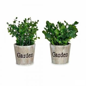 Ibergarden Planta Decorativa Plástico 16 x 22 x 16 cm (12 Unidades) - Originalidad y Aire Fresco