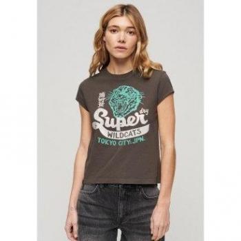 Superdry Camiseta De Manga Corta Embellished Poster Cap Slv