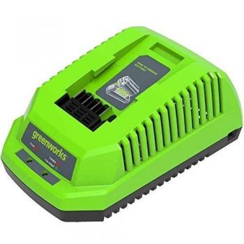 Greenworks Tools Cargador rápido de baterías G40C