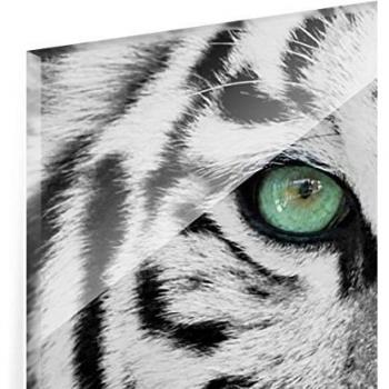 Cuadro de cristal - White Tiger - Panorama Apaisado, mural acristalado,mural de pared,decoración para pared,decoración,cristal,impresión en cristal,mural de pared de cristal,fotomural de cristal, impresión sobre cristal, Tamaño: 50cm x 125cm