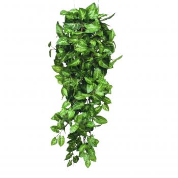 Planta Artificial Colgante Fittonia Verde 80 x 30 x 15 cm