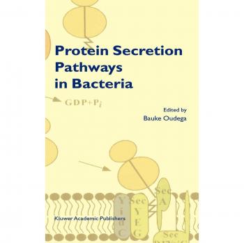 Bacterial Protein Secretion Pathways: Mechanisms and Implications