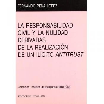 RESPONSABILIDAD CIVIL Y LA NULIDAD,LA