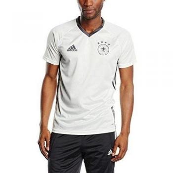 Adidas DFB TRG Jsy - Camiseta para hombre, color blanco / gris
