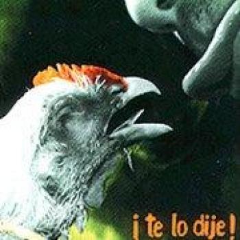Te Lo Dije