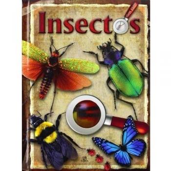 Insectos