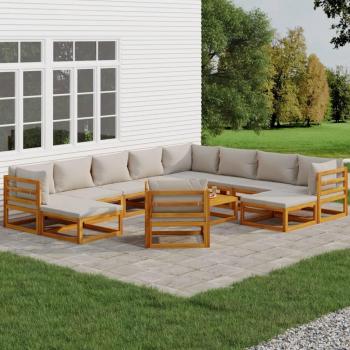 12-Piece Solid Wood Garden Lounge Set with Light Grey Cushions