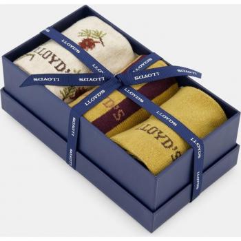 Set de caja de 3 calcetines de mujer con estampado rayas y ardillas - Lloyd's